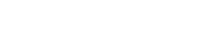 V-united Forex Logo